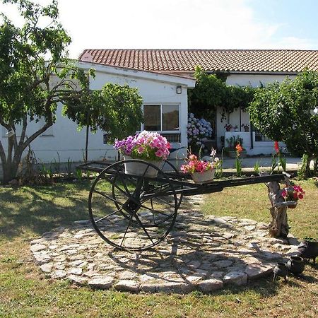 El Condado Casa Rural Fuentes de Onoro Luaran gambar