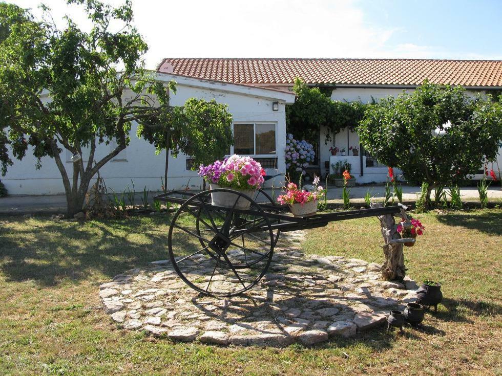 El Condado Casa Rural Fuentes de Onoro Luaran gambar